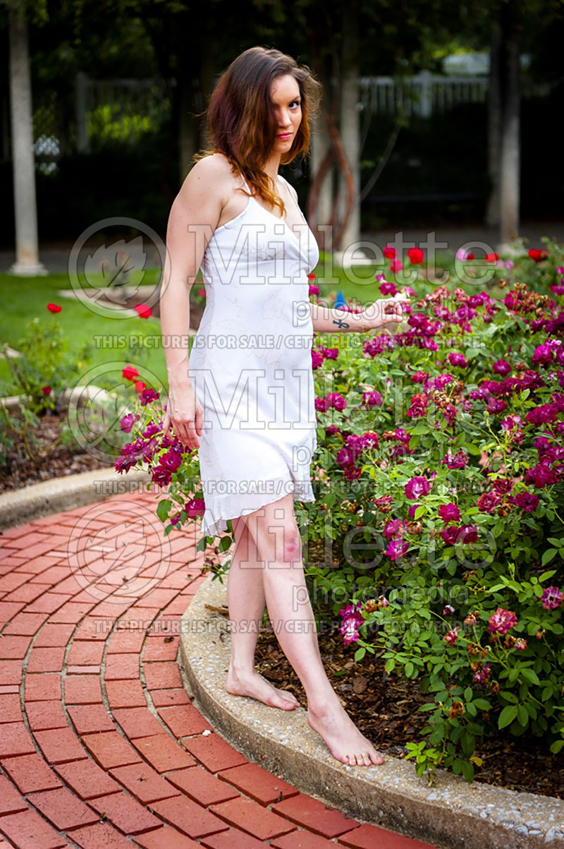 Woman in a garden over a bed of roses (Ambiance) 65 