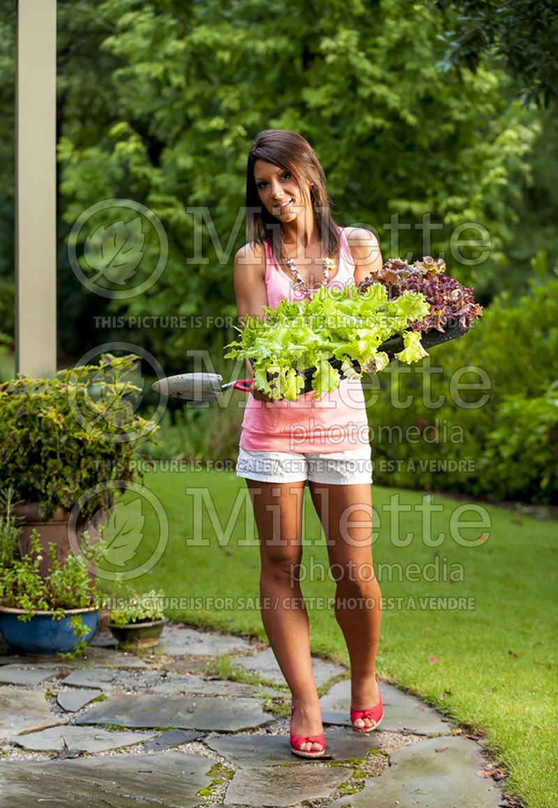 Young woman with plants in a garden (Ambiance) 39 