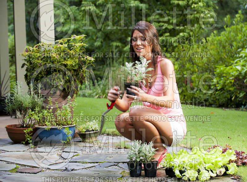 Young woman with plants in a garden (Ambiance) 40 