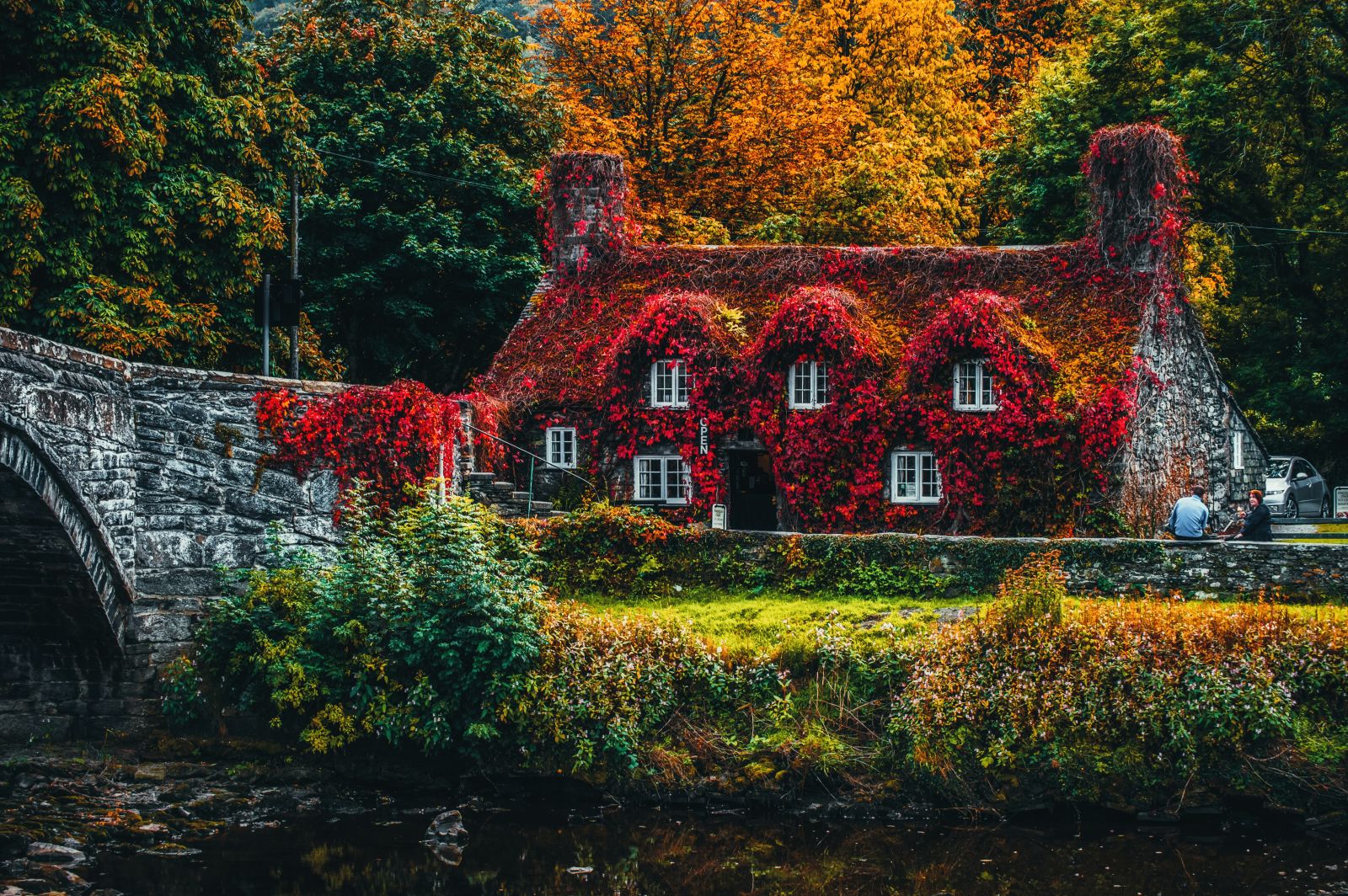 lush vegetation