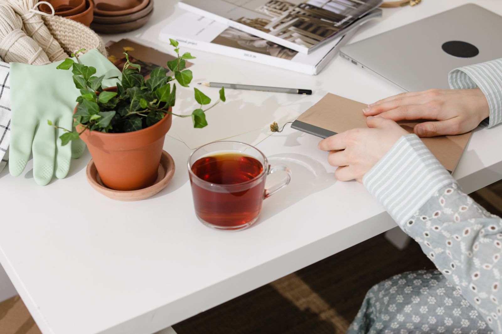 a pot plant with tea